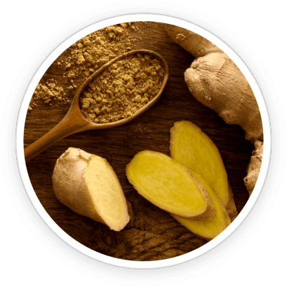 PrimeBiome  Ingredients 